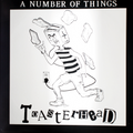12" Vinyl LP Record - Number Of Things Toasterhead Punk Rock