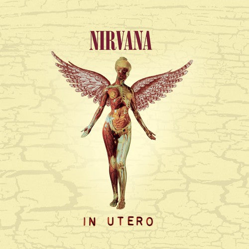 the album cover for Nirvana - In Utero: 20th Anniversary [Remastered]