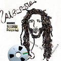 the album cover for Alborosie - Alborosie Meets Roots Radics - Dub For The Radicals
