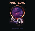 the album cover for Pink Floyd - Delicate Sound Of Thunder: Remastered [2CD]