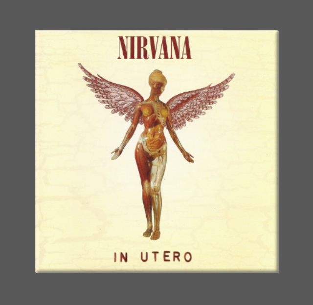 NIRVANA, Magnet, Button, IN UTERO