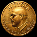 the album cover for Pitbull - Pitcoin