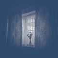 the album cover for Chris Herbert - Grisaille