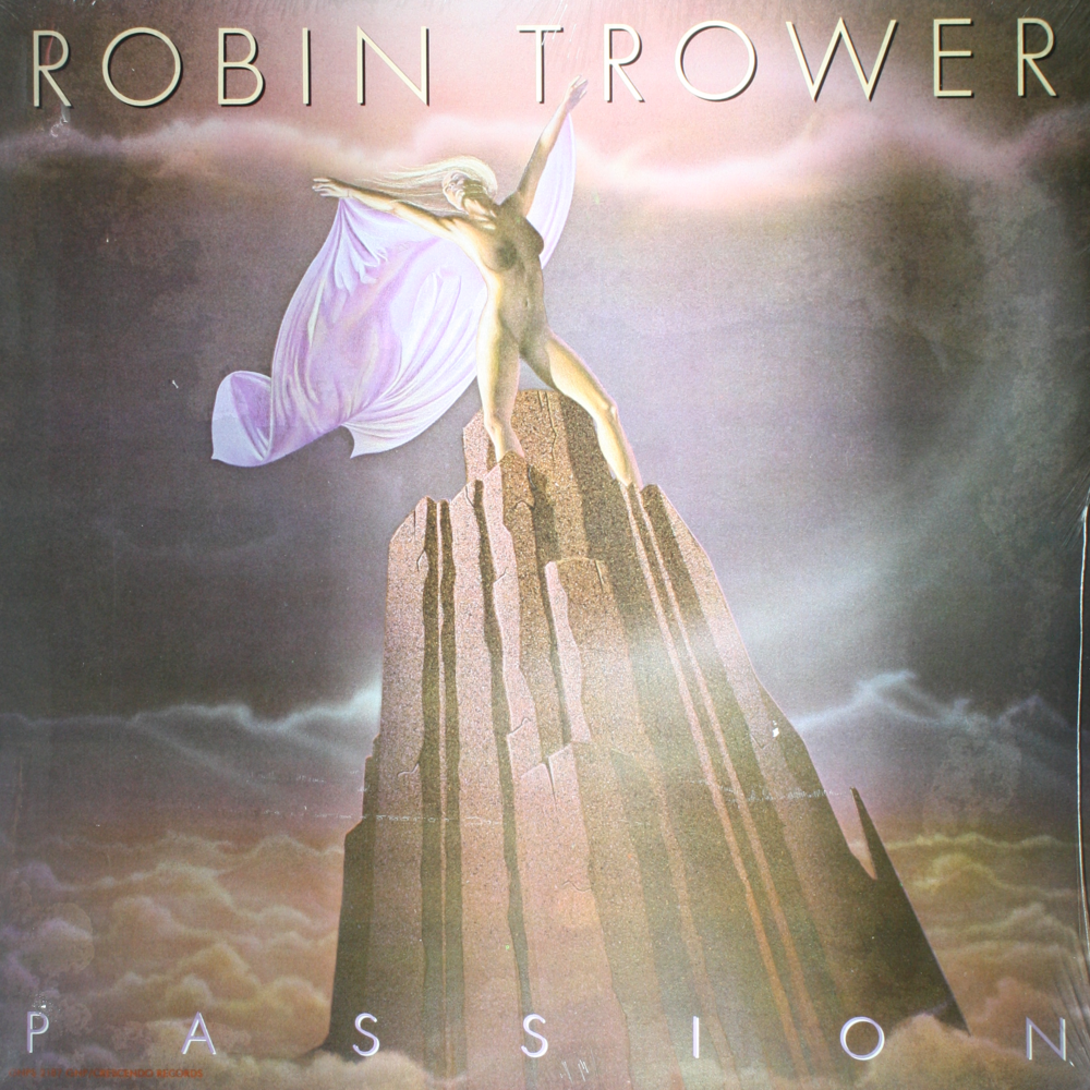 12" Vinyl LP Record - Robin Trower - Passion Blues Hard Rock