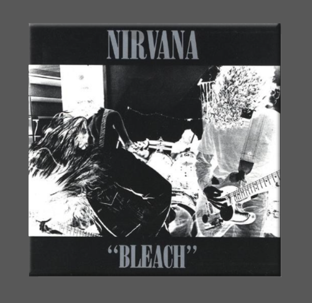 NIRVANA, Magnet, Button, BLEACH