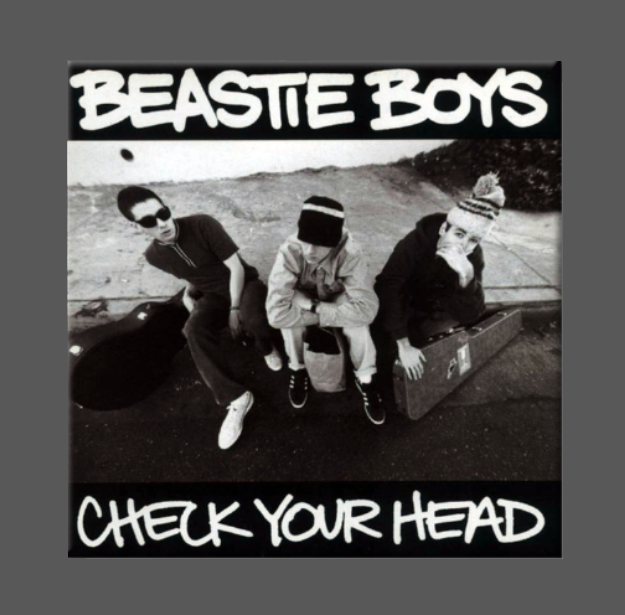 BEASTIE BOYS, Magnet, Button, CHECK YOUR HEAD