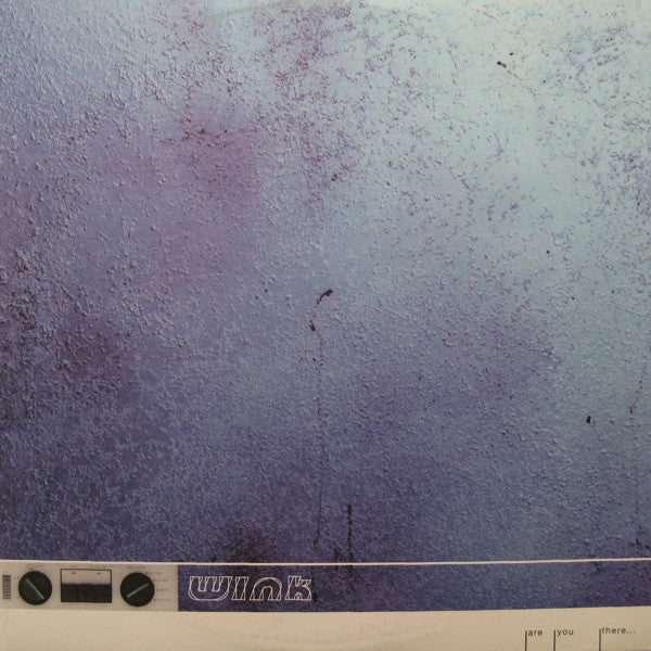 Are You There... Discogs cover art