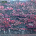 Even In Arcadia Discogs cover art