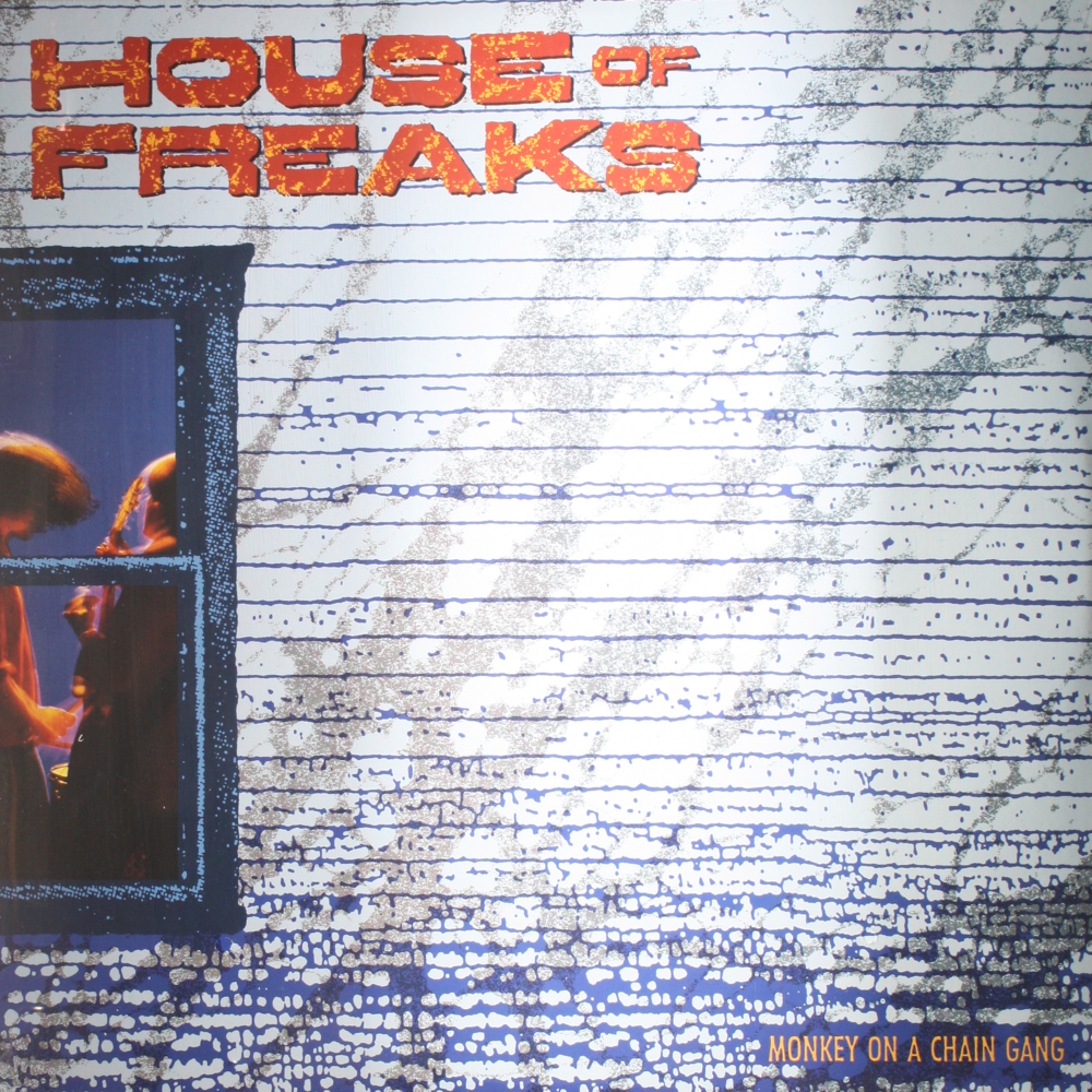 12" Vinyl LP Record - House Of Freaks: Monkey On... Alt Rock